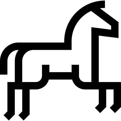Horseriding
