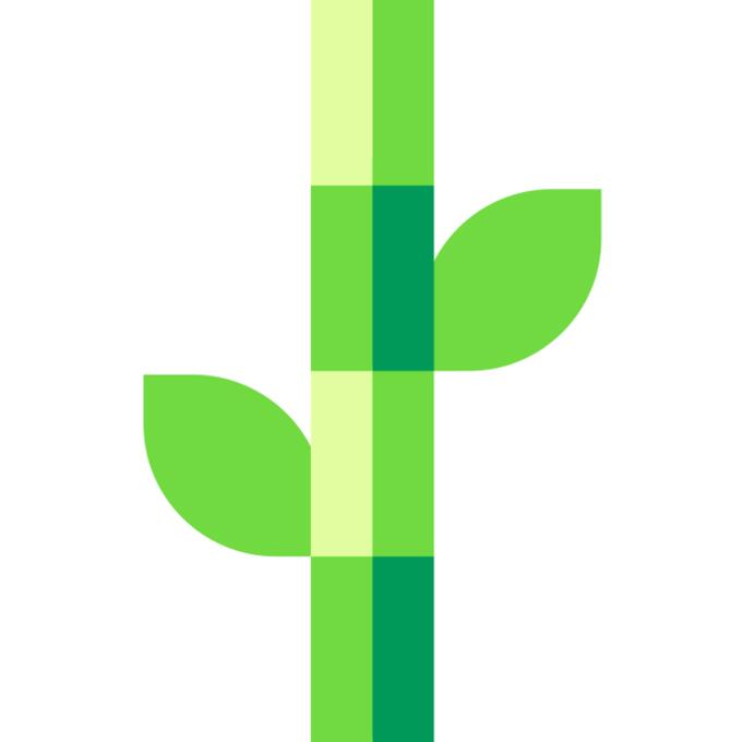Bamboo