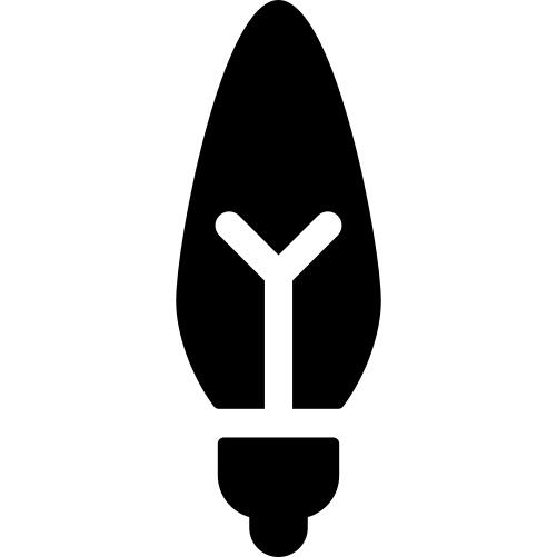 Xenon Light Bulb