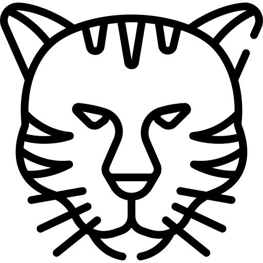 虎