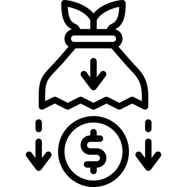 Money bag
