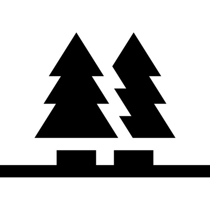 Pine