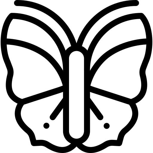 蝴蝶