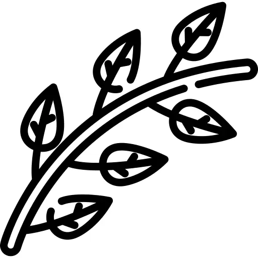 Branch