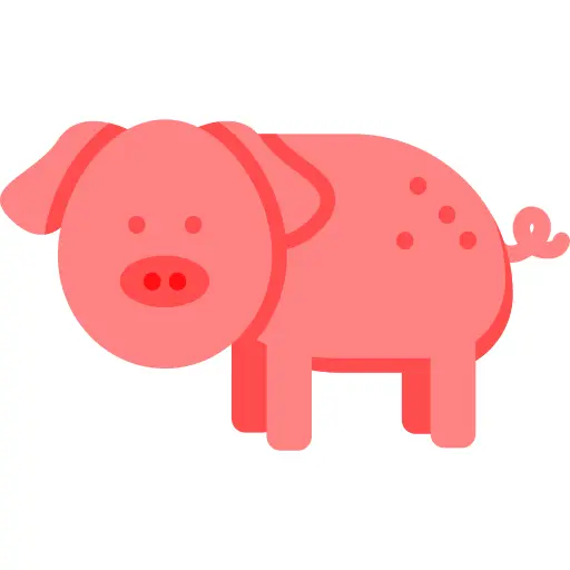 Pig