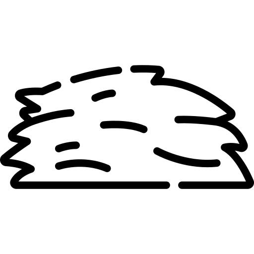Hay