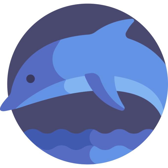 海豚