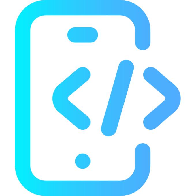 Developer