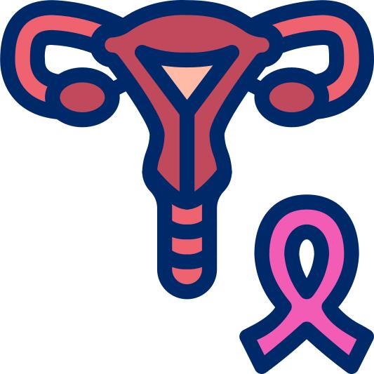 Uterus