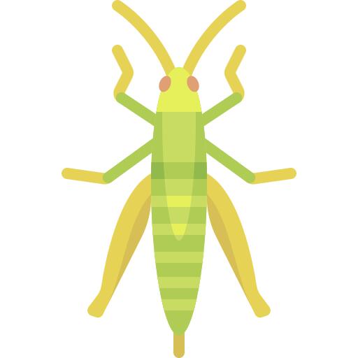 Grasshopper