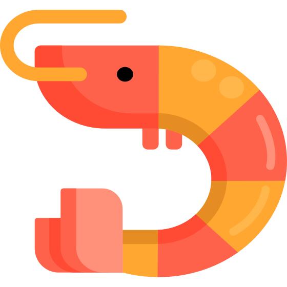 Shrimp