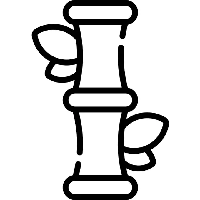 Bamboo