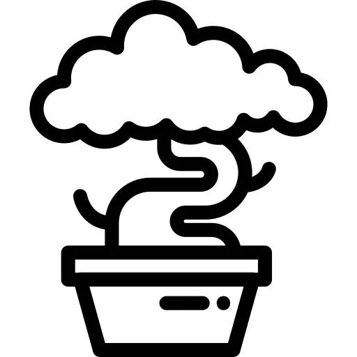 Bonsai