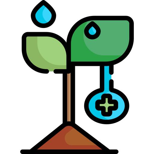 Herb