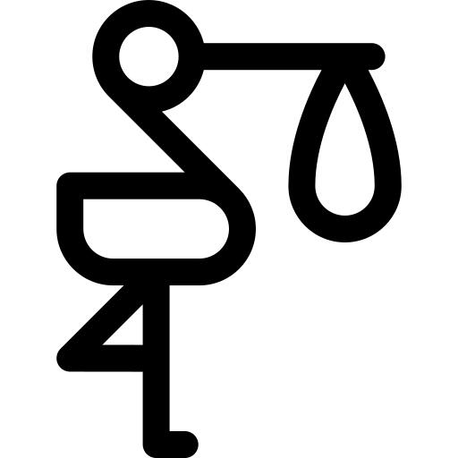 鹳