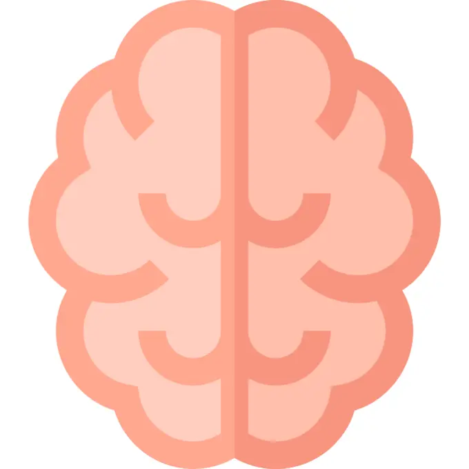 Brain