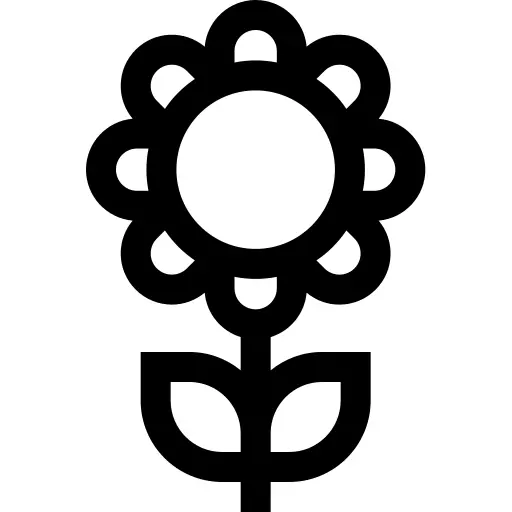 向日葵