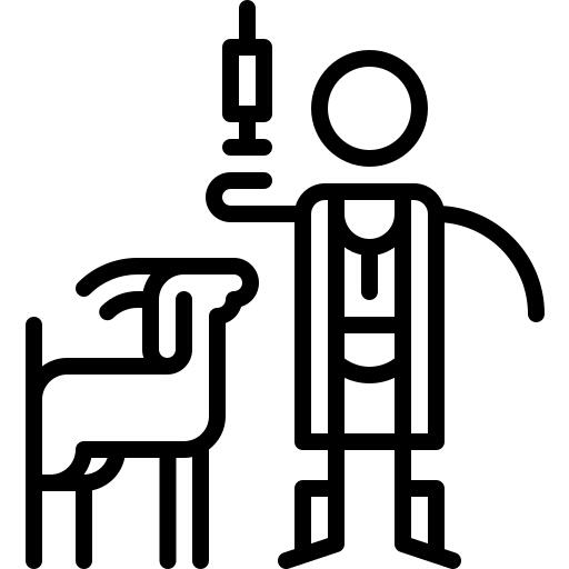 兽医