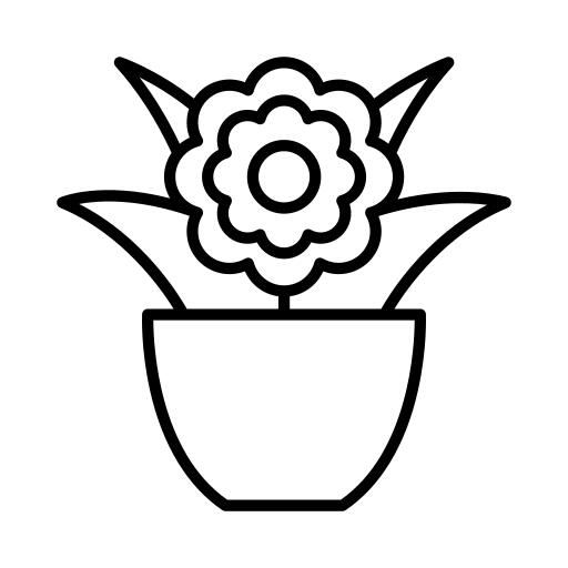 花盆