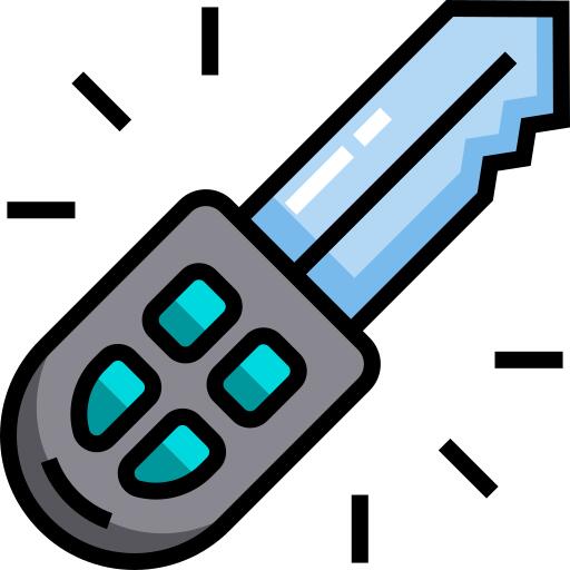 Car key