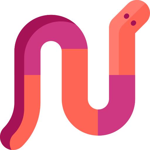 Worm