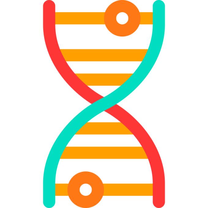 Dna