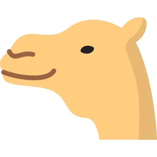 骆驼