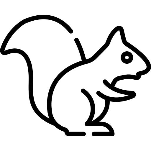 Squirrel