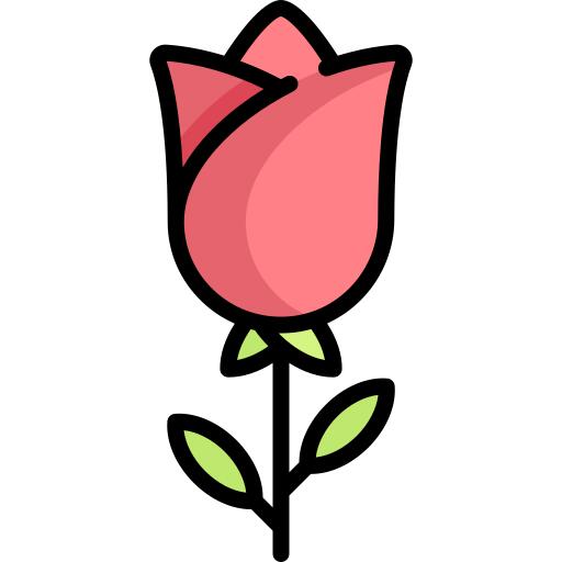Rose flower