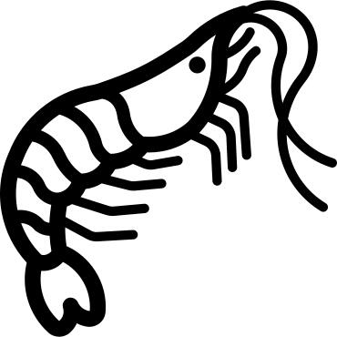 Shrimp