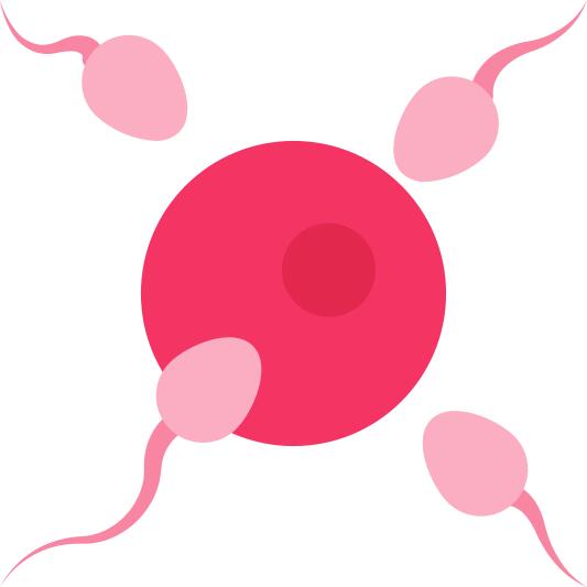 Insemination