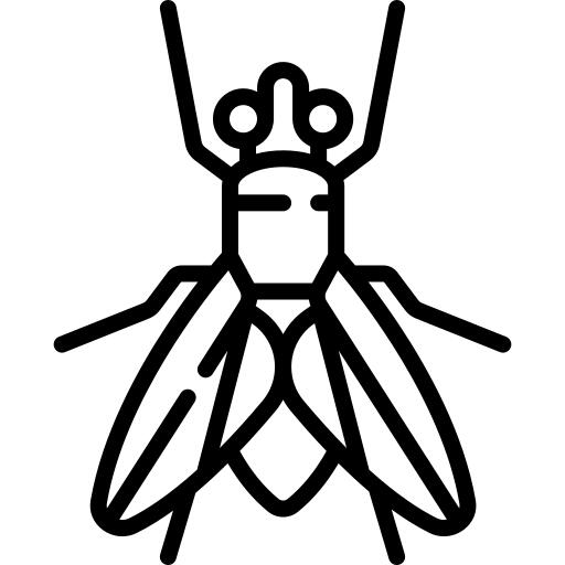Fly