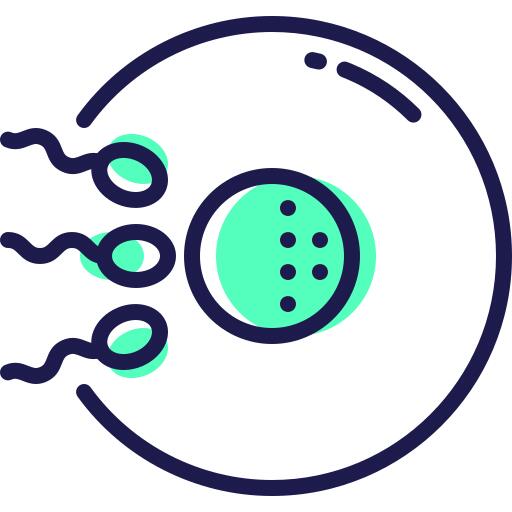 Spermatozoon