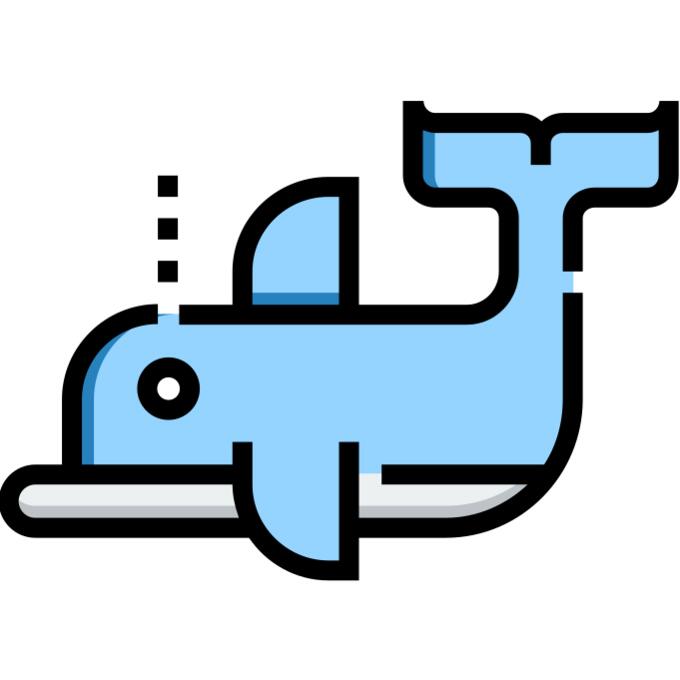 海豚