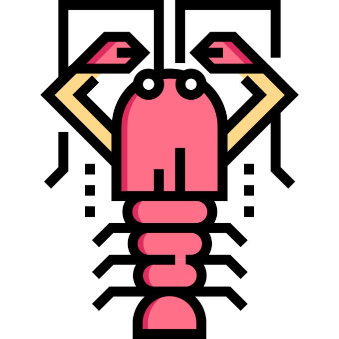 Lobster