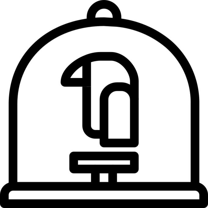 Bird cage