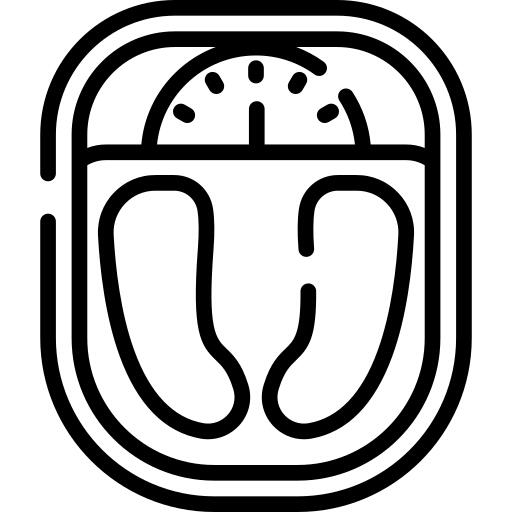 称重秤