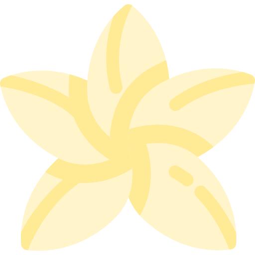 Jasmine