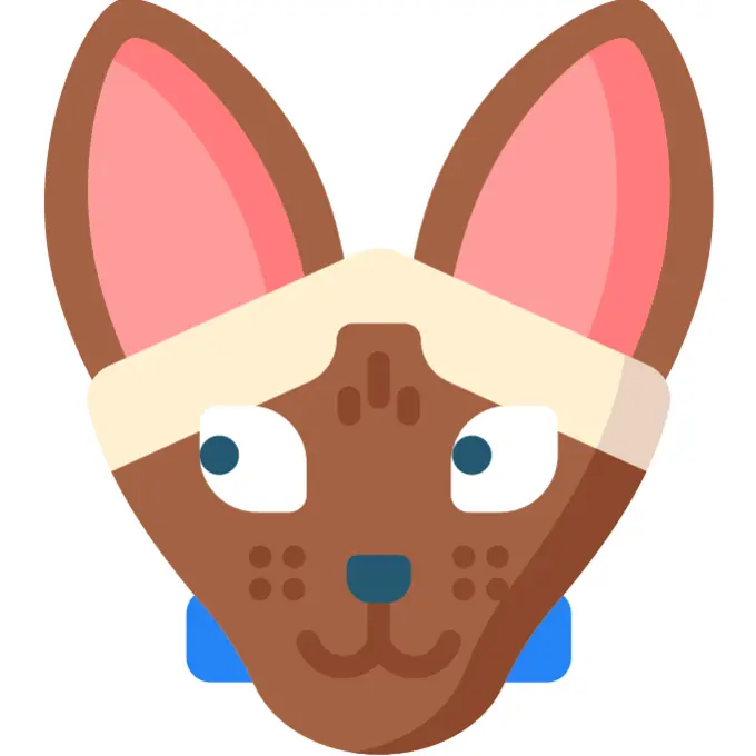 Siamese cat