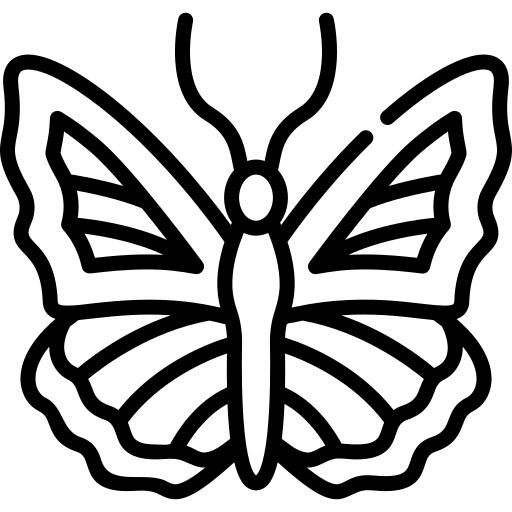 蝴蝶