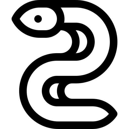 鳗鱼