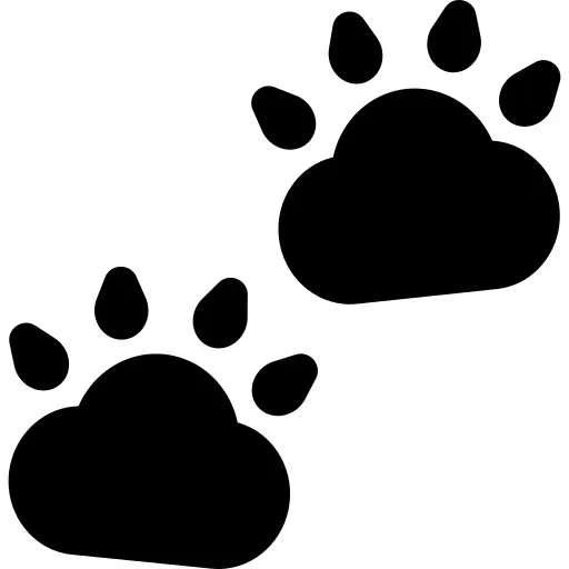 Pawprints