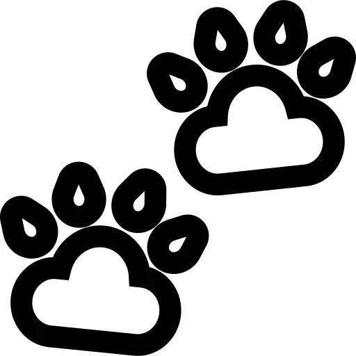 Pawprints
