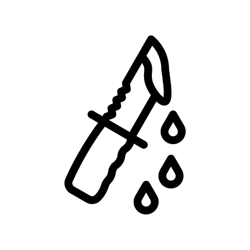 Pocket knife