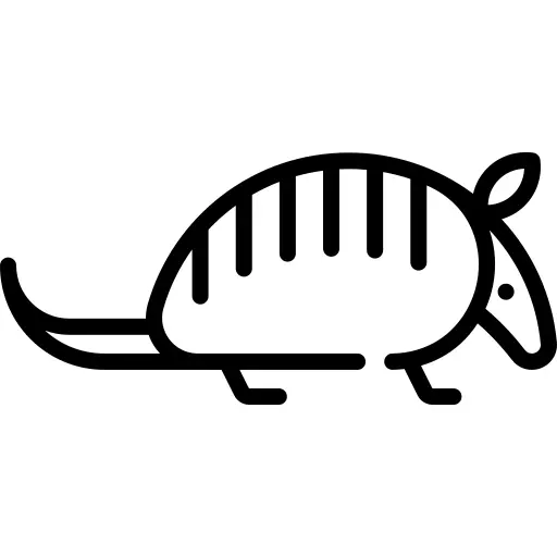 Armadillo