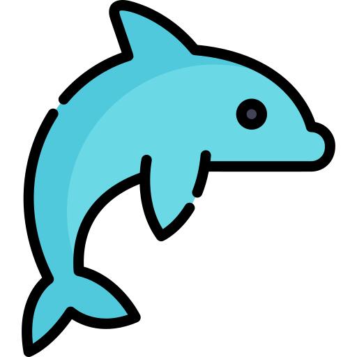 海豚