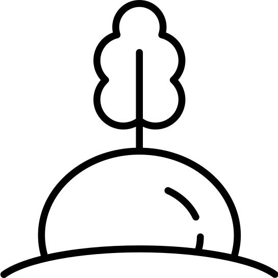 Radish