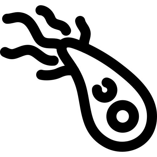 Giardia