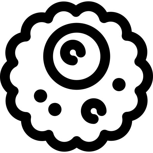 胚珠