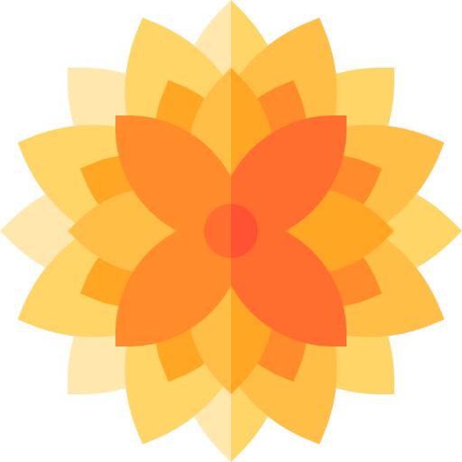 Chrysanthemum